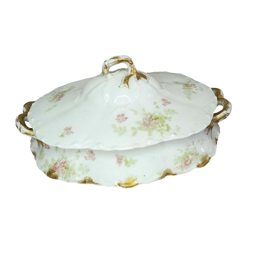 Vintage Theodore Haviland Limoges For ABE Mayer 11393 France Soup Tureen Décor